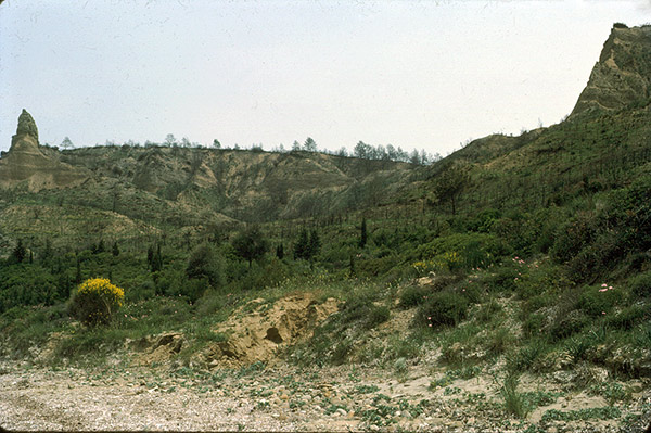 Anzac cove